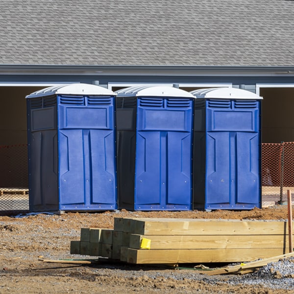 how often are the porta potties cleaned and serviced during a rental period in Clarence New York